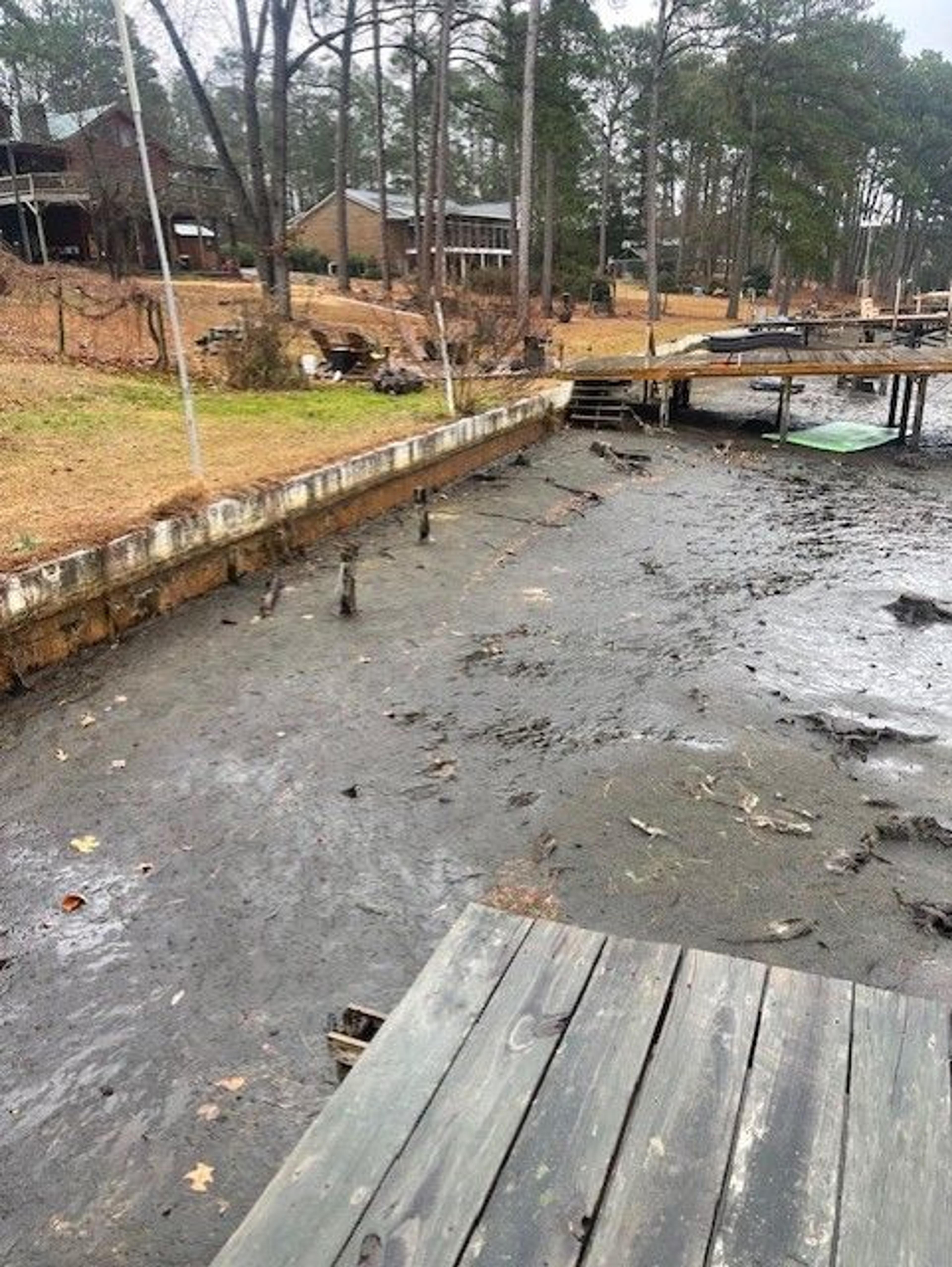 Shoreline Stabilization Refresh — before