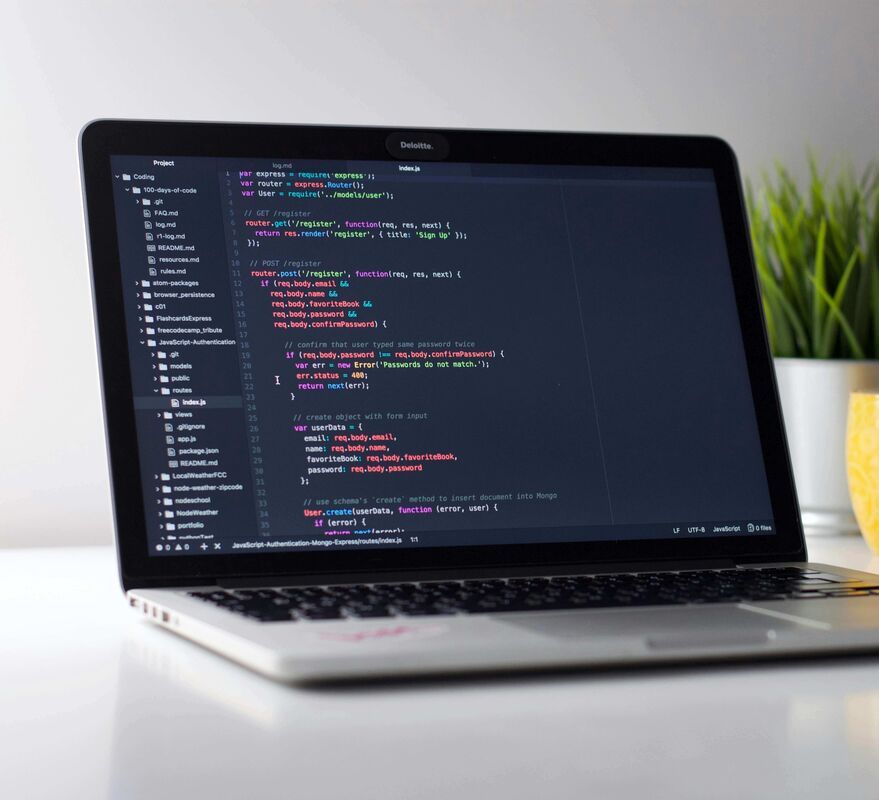 Next.js Developer