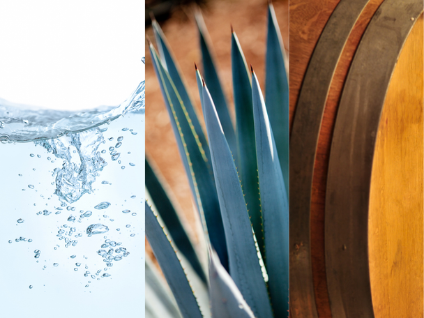 Water, Agave, and Red Oak Barrel