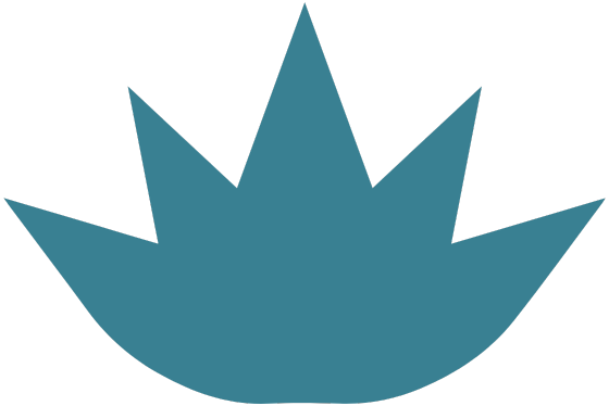 100% Blue Agave