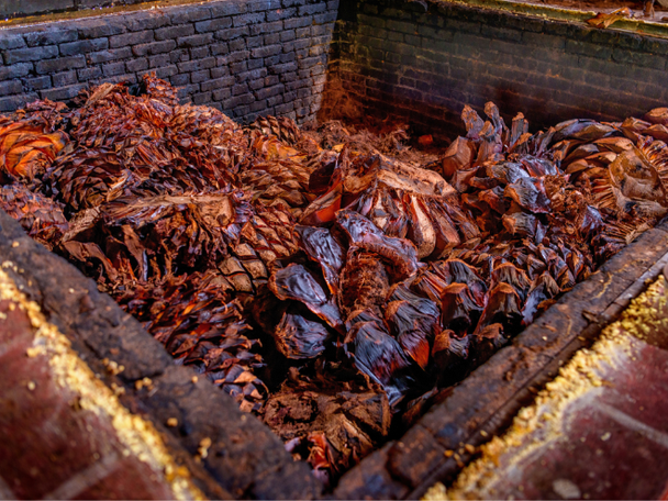 Brick cooking pit with roasted pina's