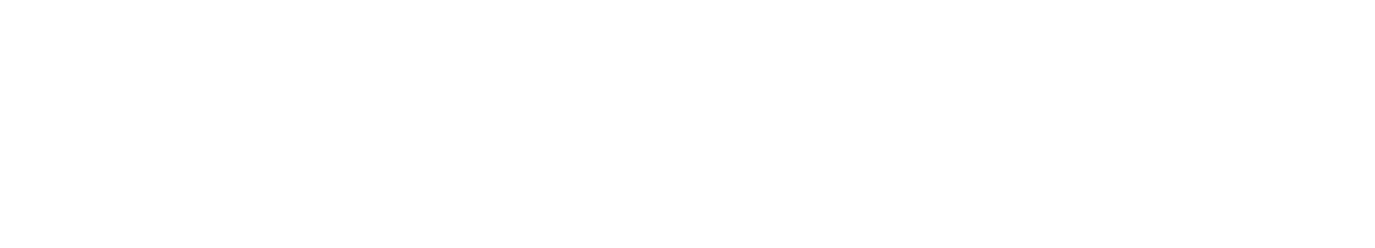 Bottle Raiders logo