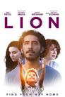 Lion | Rtally