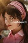 Companion  | Rtally