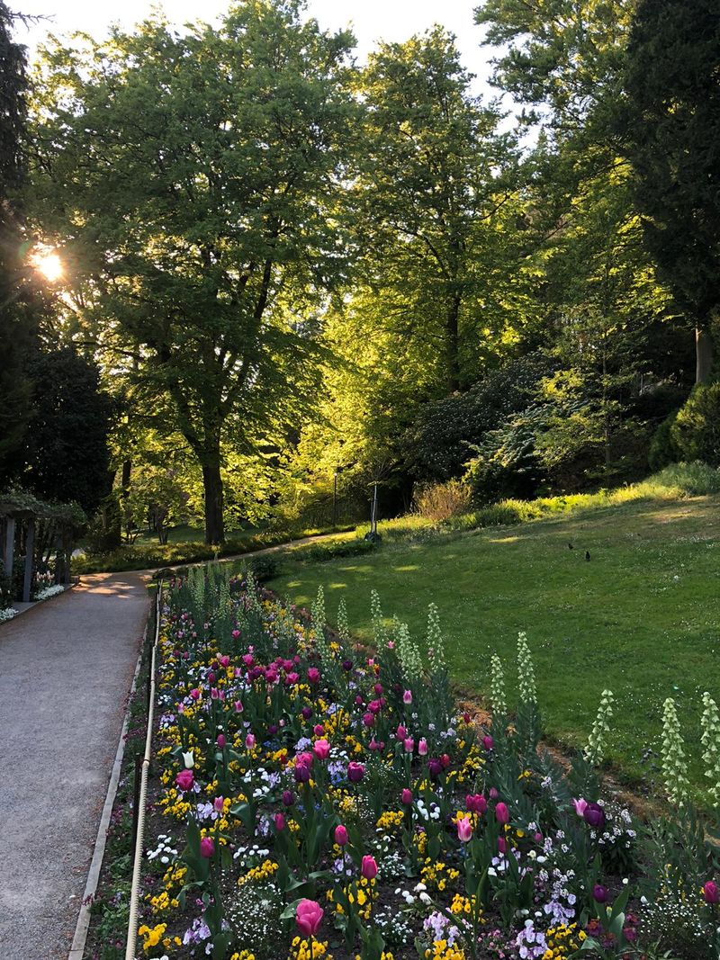 Blumen in Überlingen