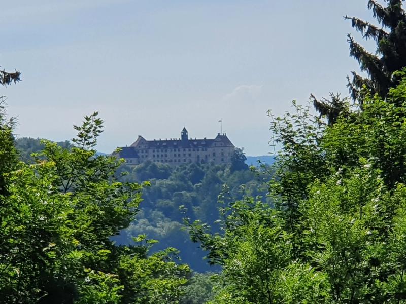 Blick zum Schloss Heiligenberg