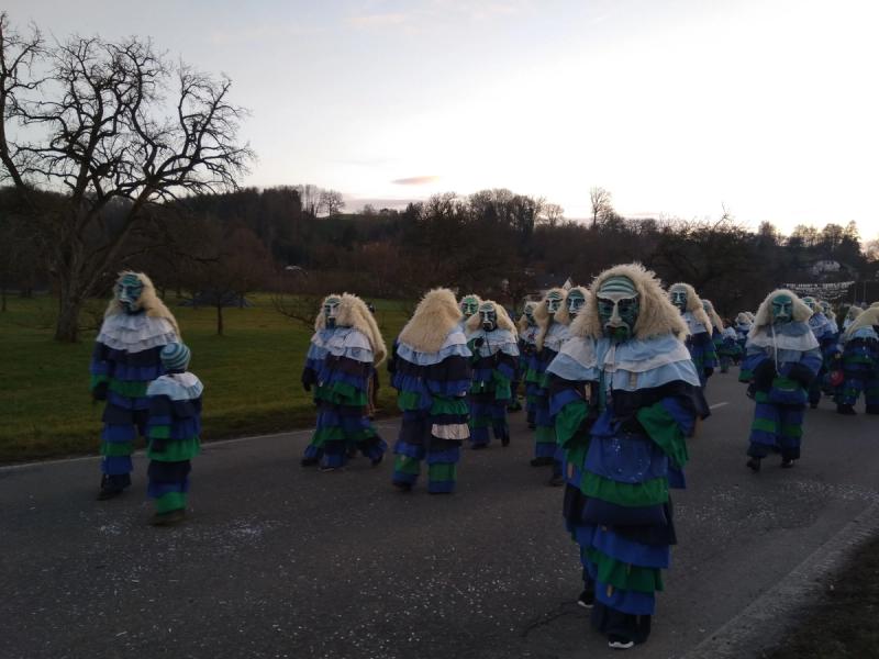 Fasnacht am Bodensee