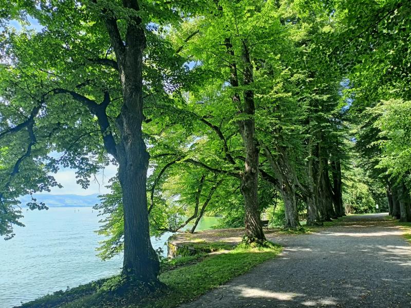 Lindau Gartenkulturpfad