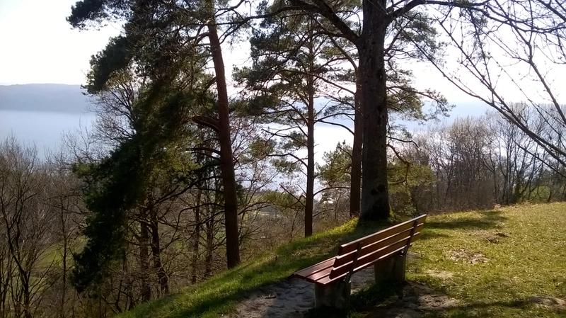Blick zum Bodensee