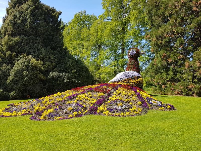 Bodensee Mainau Blumen