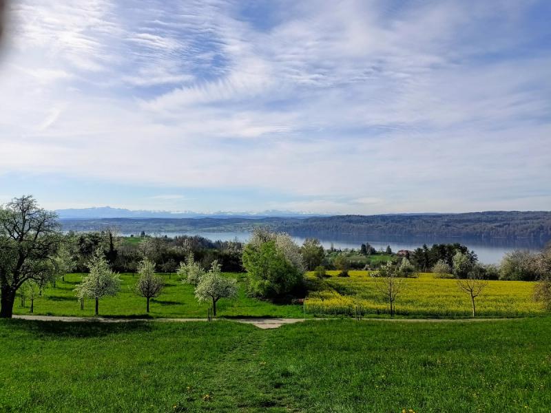 Überlingen Blick über den Bodensee bis zur Schweiz