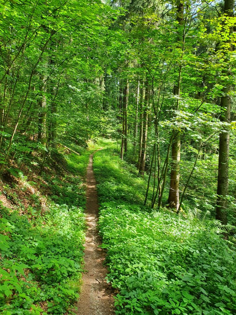 Auf dem Weg zur Schwedenschanze