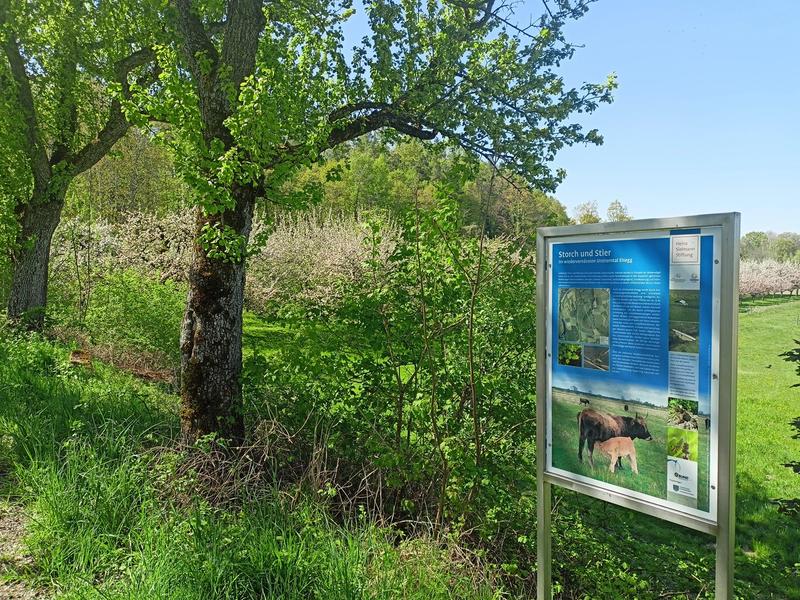 Urlaub Salem Frühling