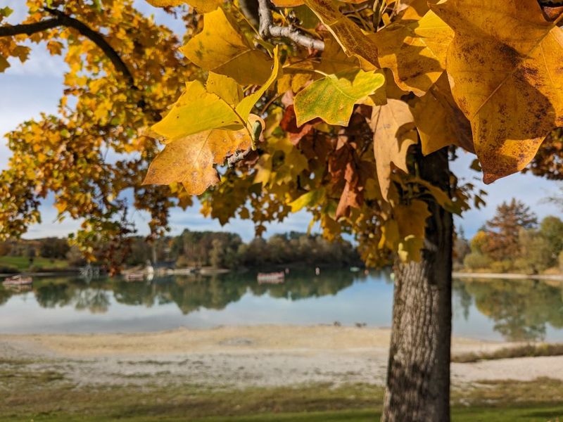 Herbst am Schlosssee in Salem