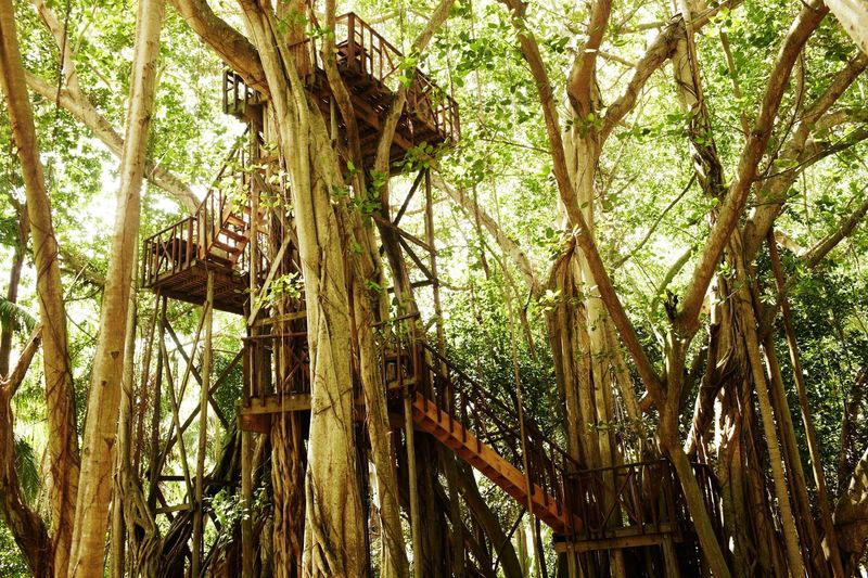 Fregate Island Private — Eindruck 21