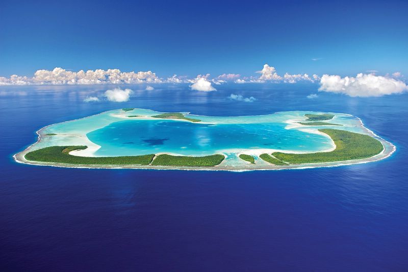 Tropische Vegetation rund um The Brando