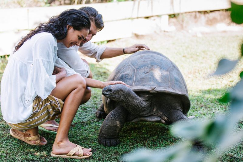 Raffles Seychelles — Eindruck 14