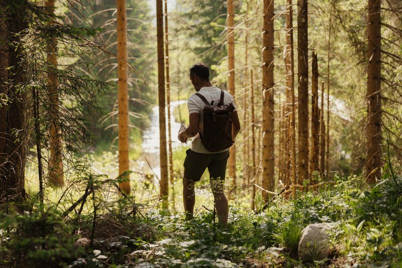 LaPosch – Living Lands — Eindruck 9
