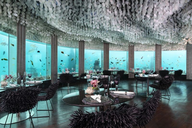Niyama Private Islands — Eindruck 18