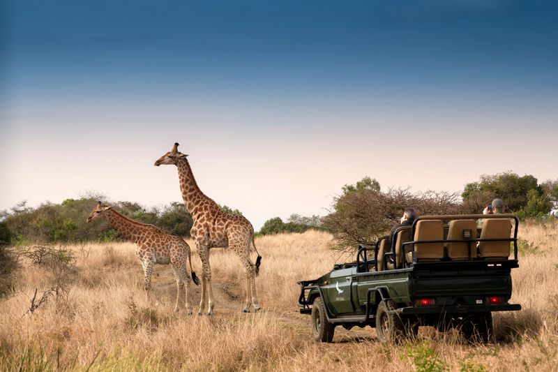 andBeyond Phinda Private Game Reserve — Eindruck 1