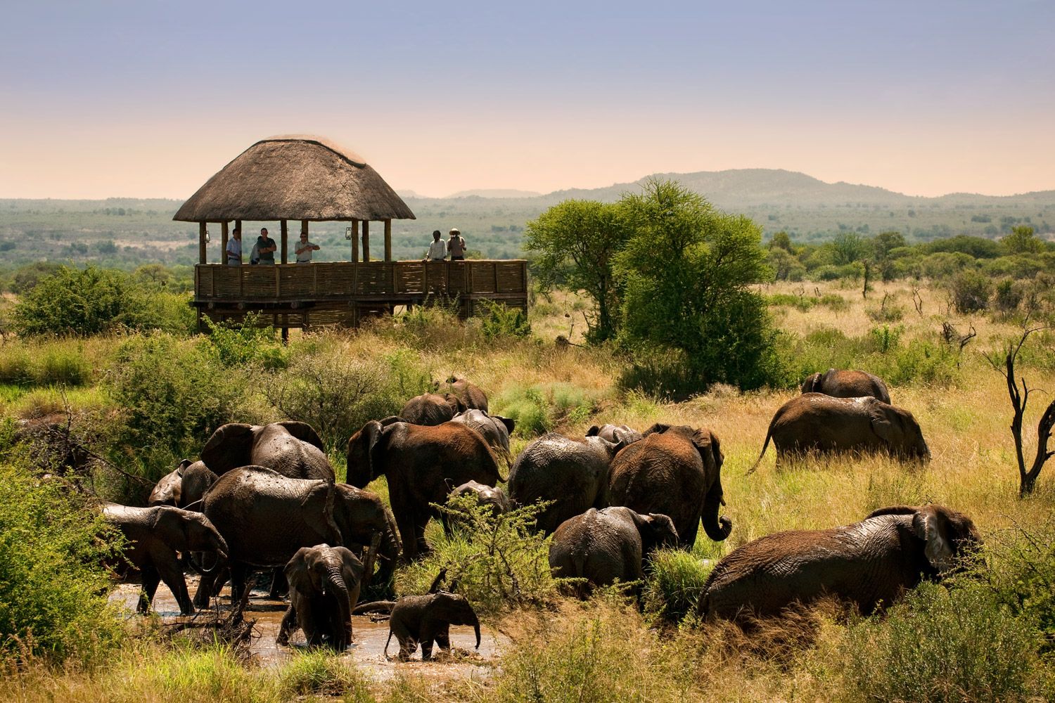 Familien-Safari-Erlebnis bei Morukuru