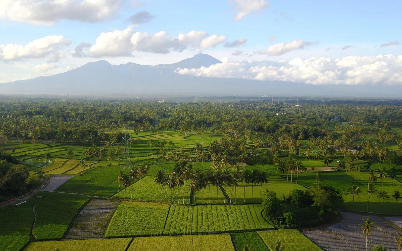 Tete Batu Cultural & Rice Terrace Tour 0