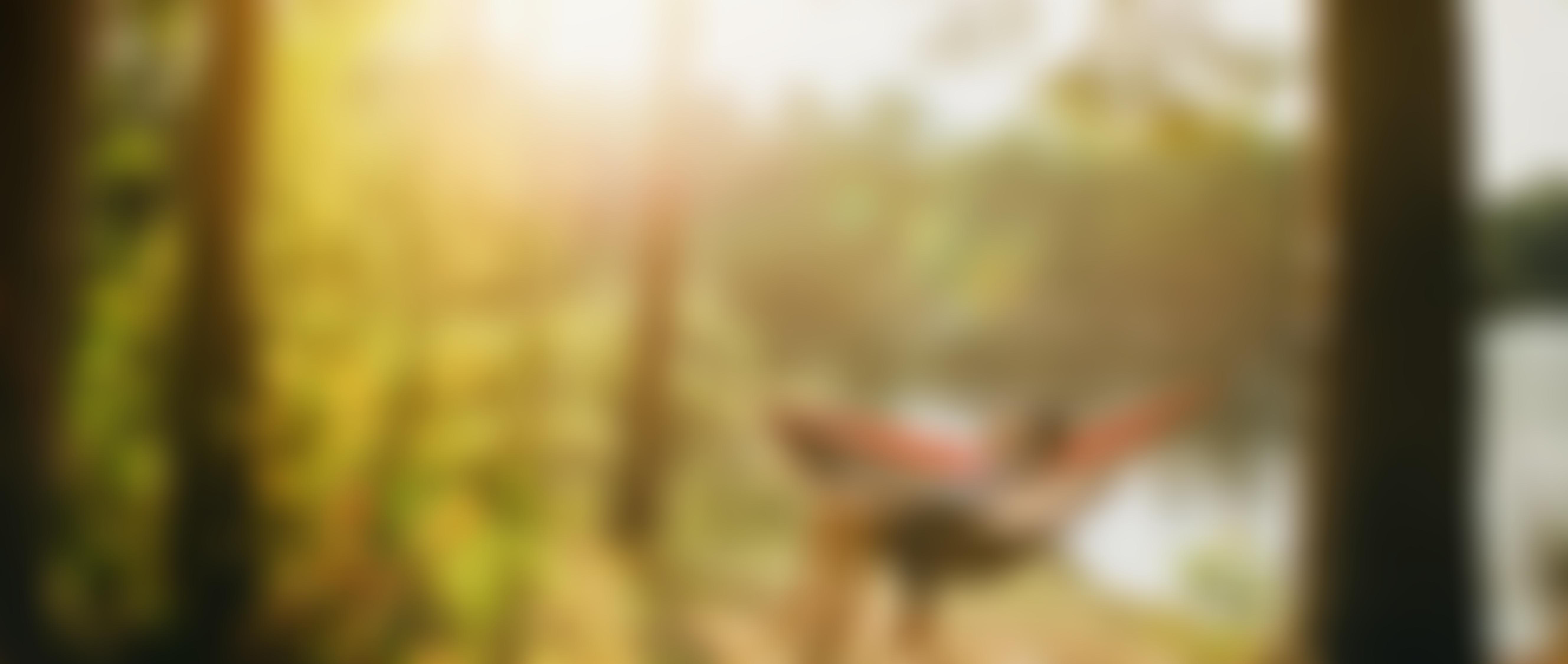 Couple on a hammock with the sun seen through trees