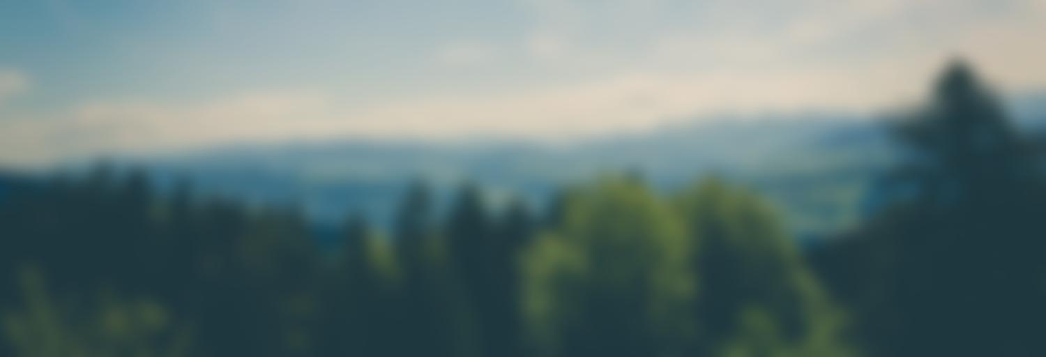 Landscape of distant hills beyond a forest