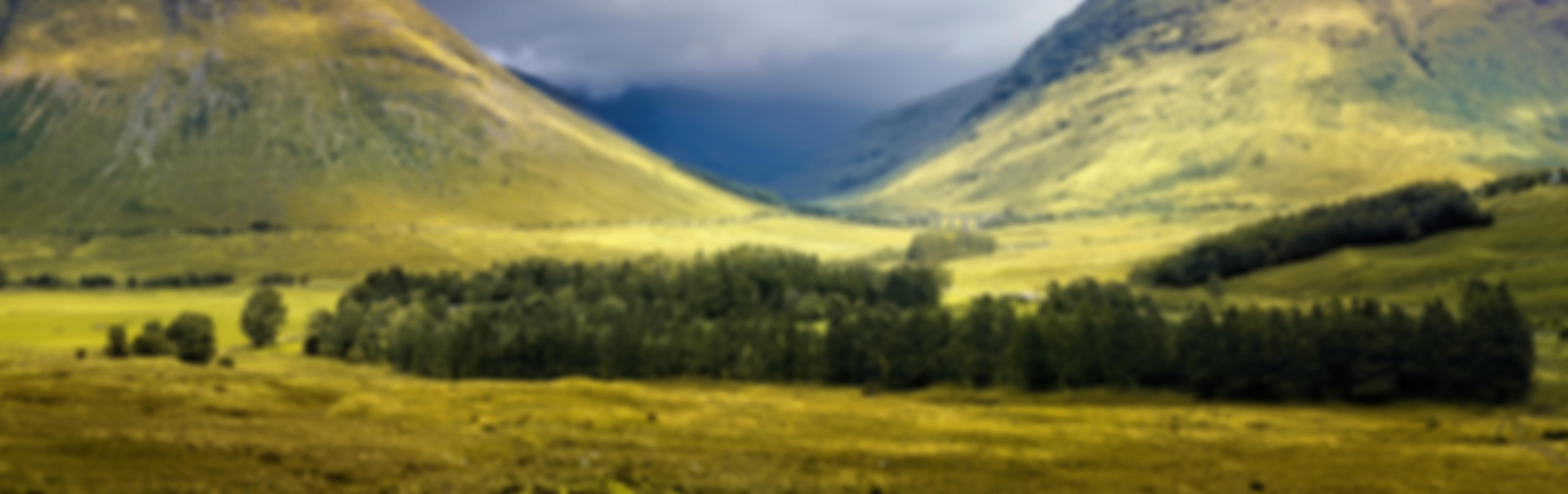 Wide landscape overlooking a forest with mountains in the background