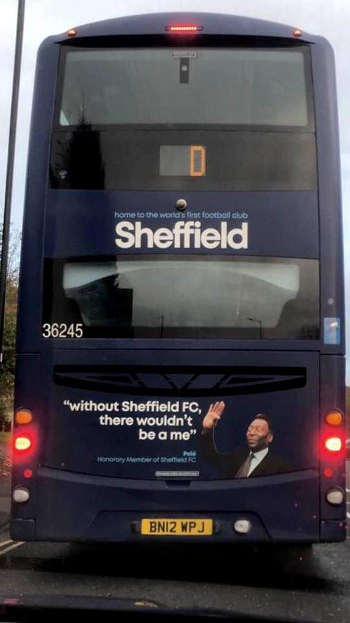 Pele bus