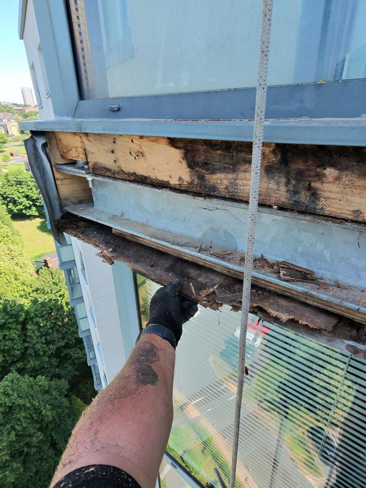 Extensive water damage and timber decay exposed behind aluminium façade cladding on a high-rise residential building in Newcastle during rope access repair works.