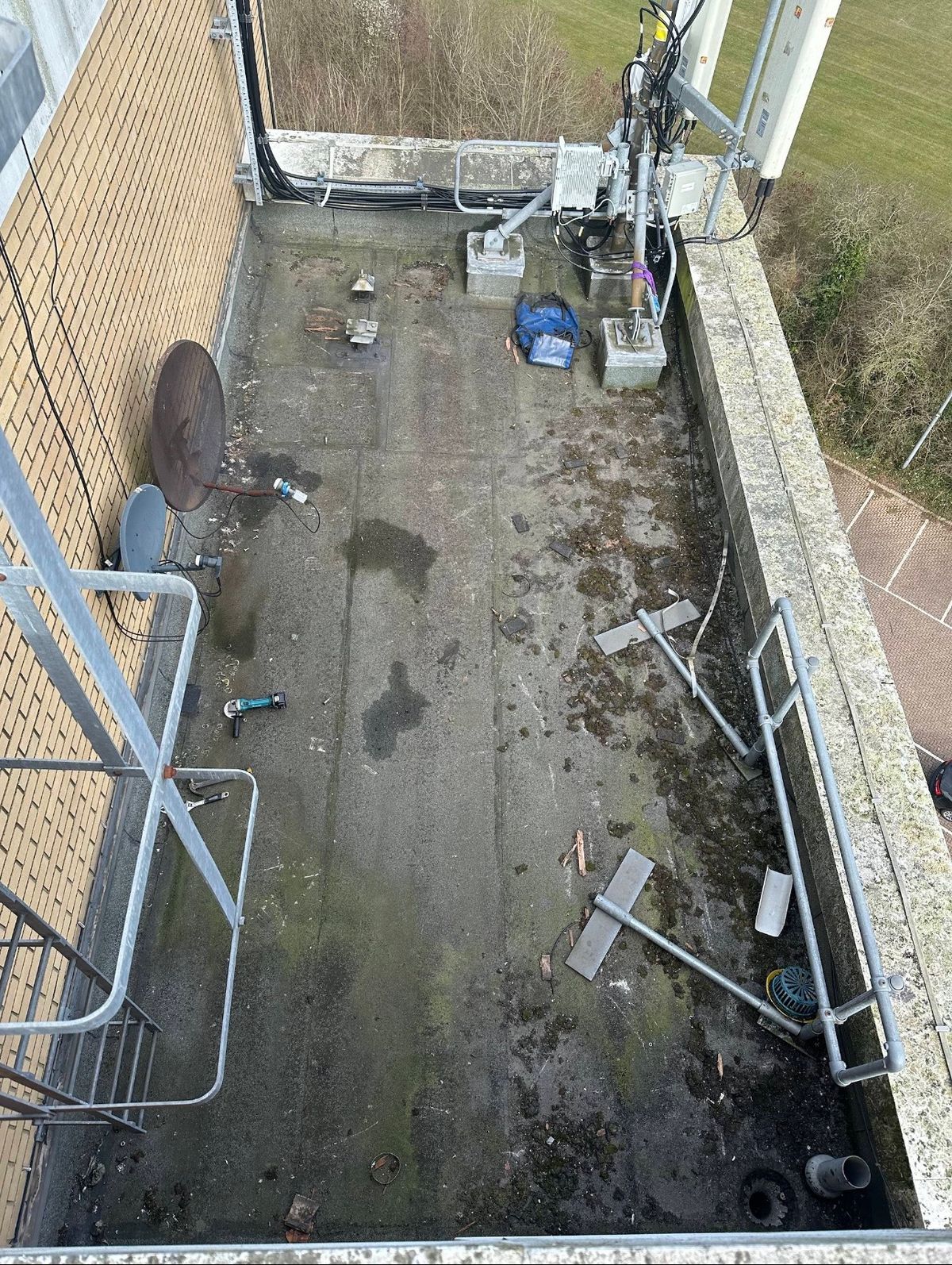 Weathered secondary flat roof before cleaning and repairs, showing organic growth, debris and multiple service penetrations.