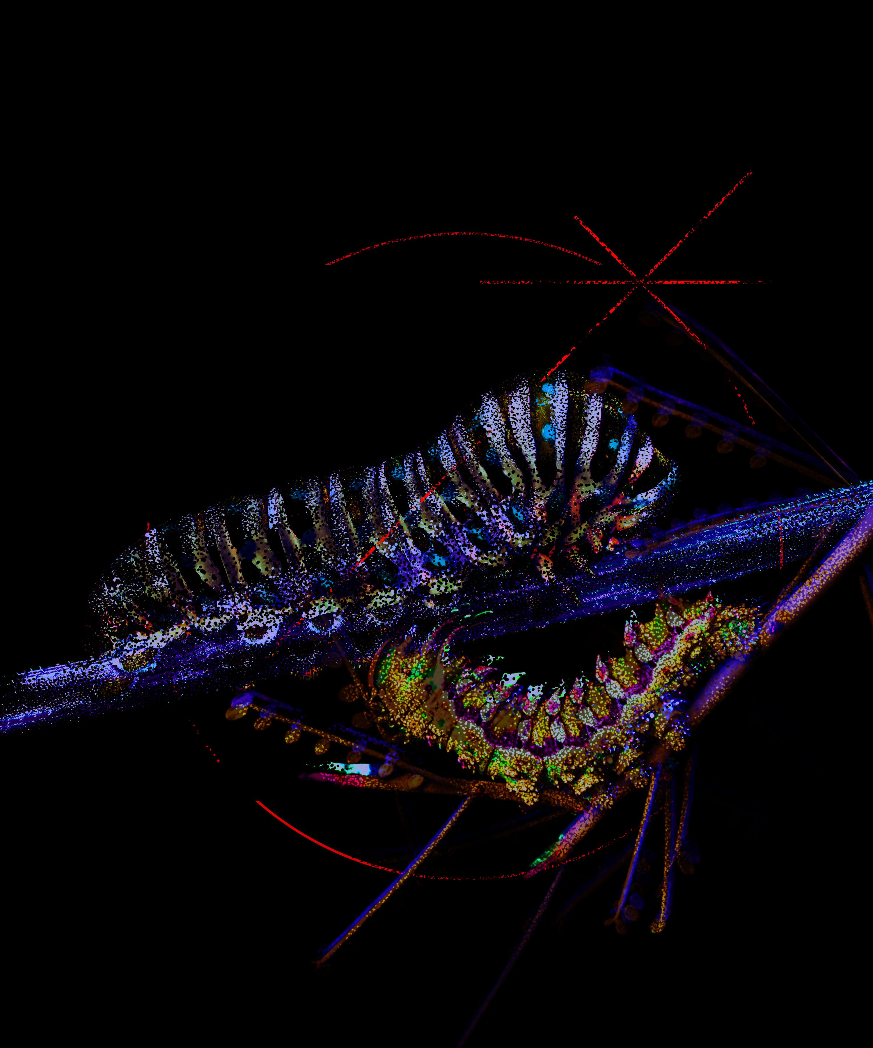 Caterpillar lit in a prism