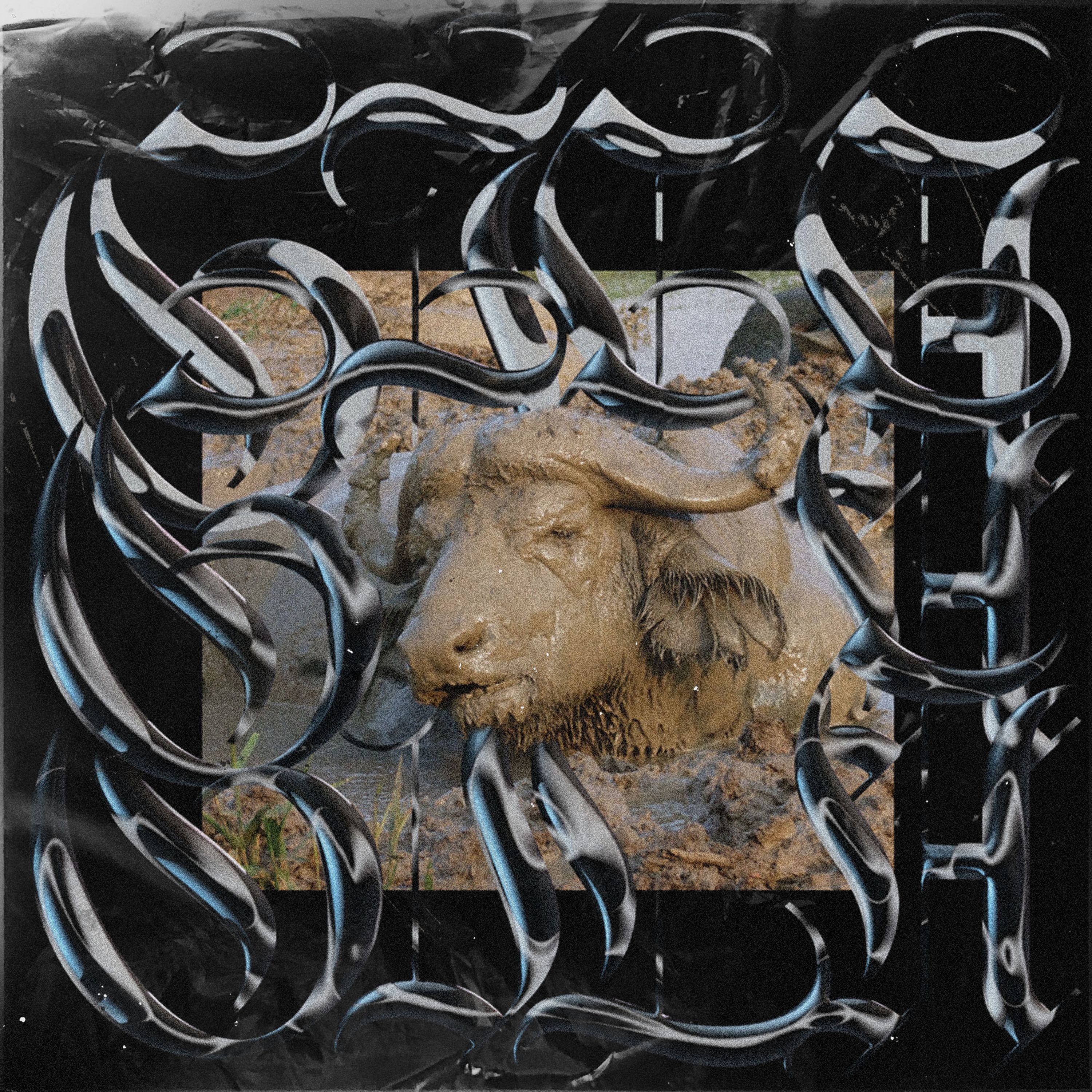 A bison in mud surrounded by metal letters.