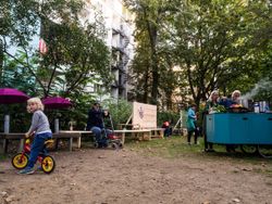 Missing alternative text