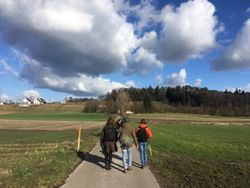 Missing alternative text