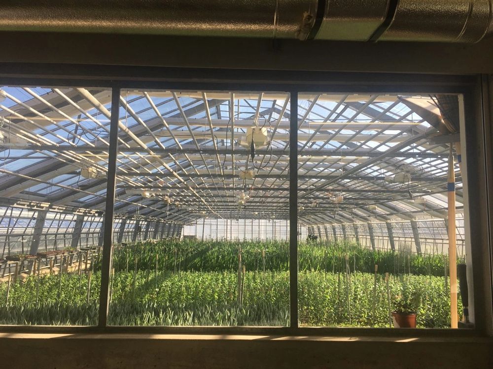 Missing alternative text