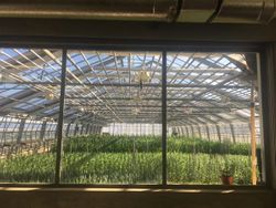 Missing alternative text