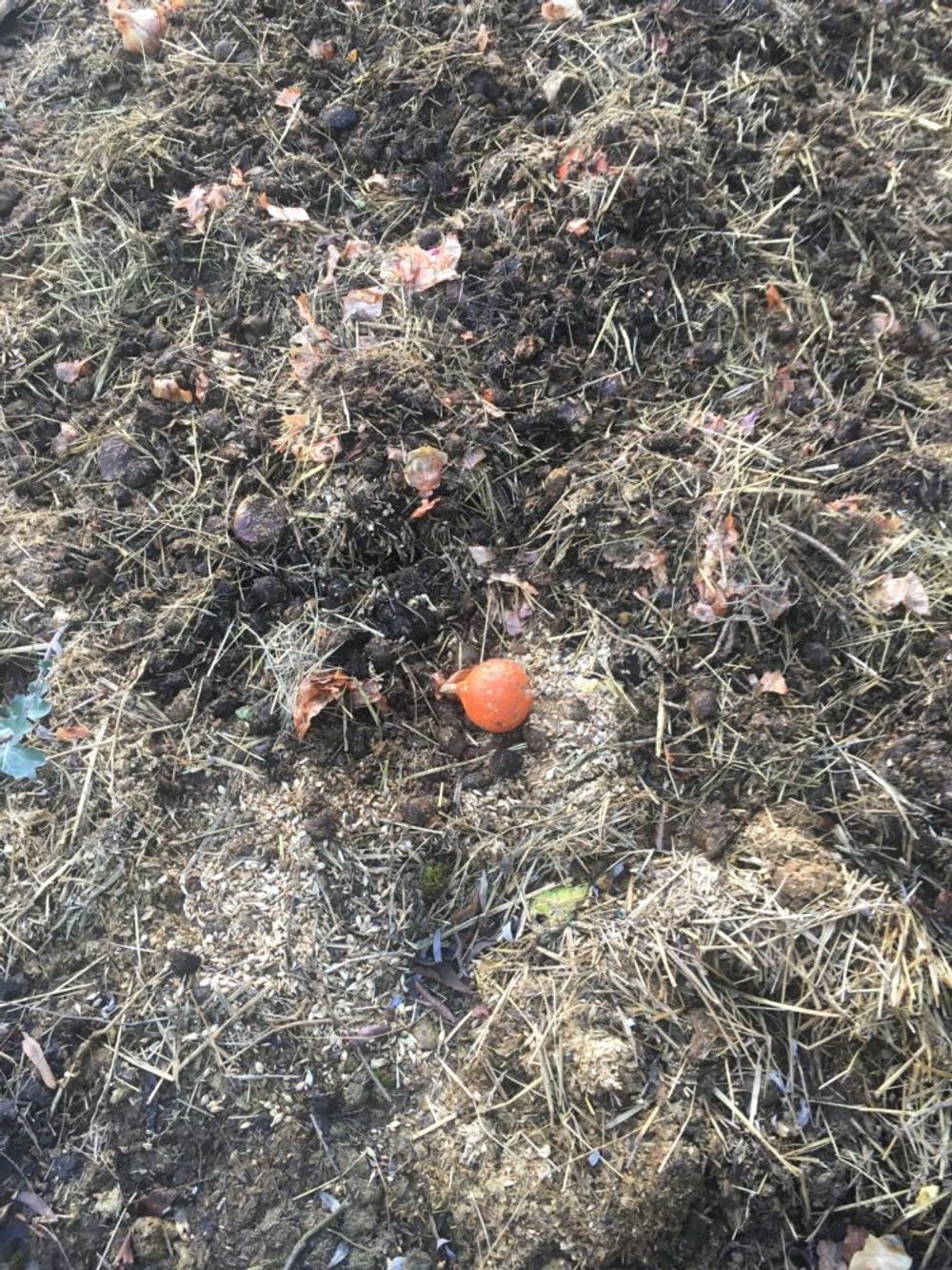 Missing alternative text