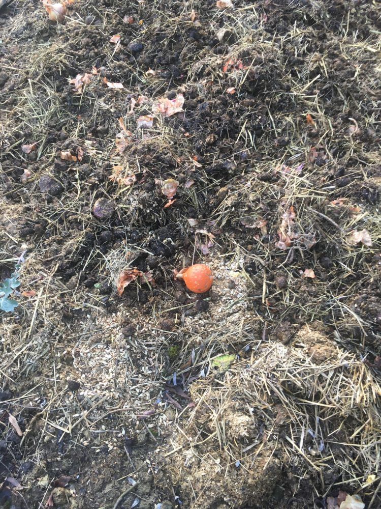 Missing alternative text