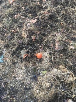 Missing alternative text