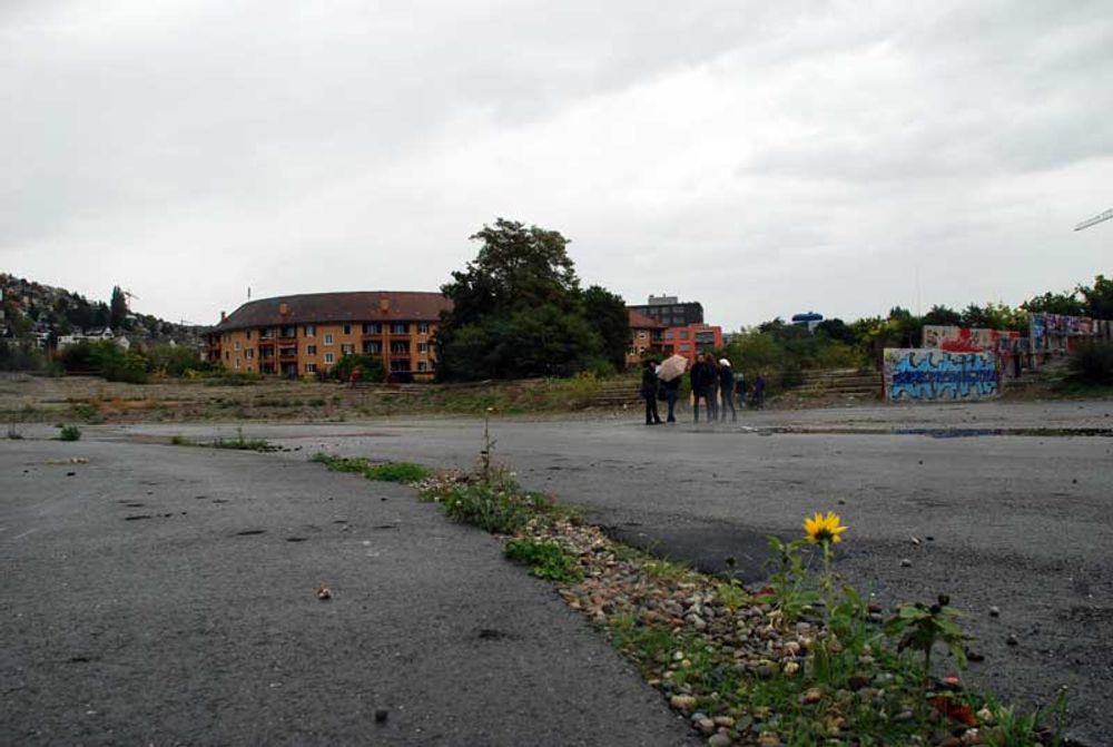 Missing alternative text