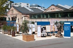 Missing alternative text