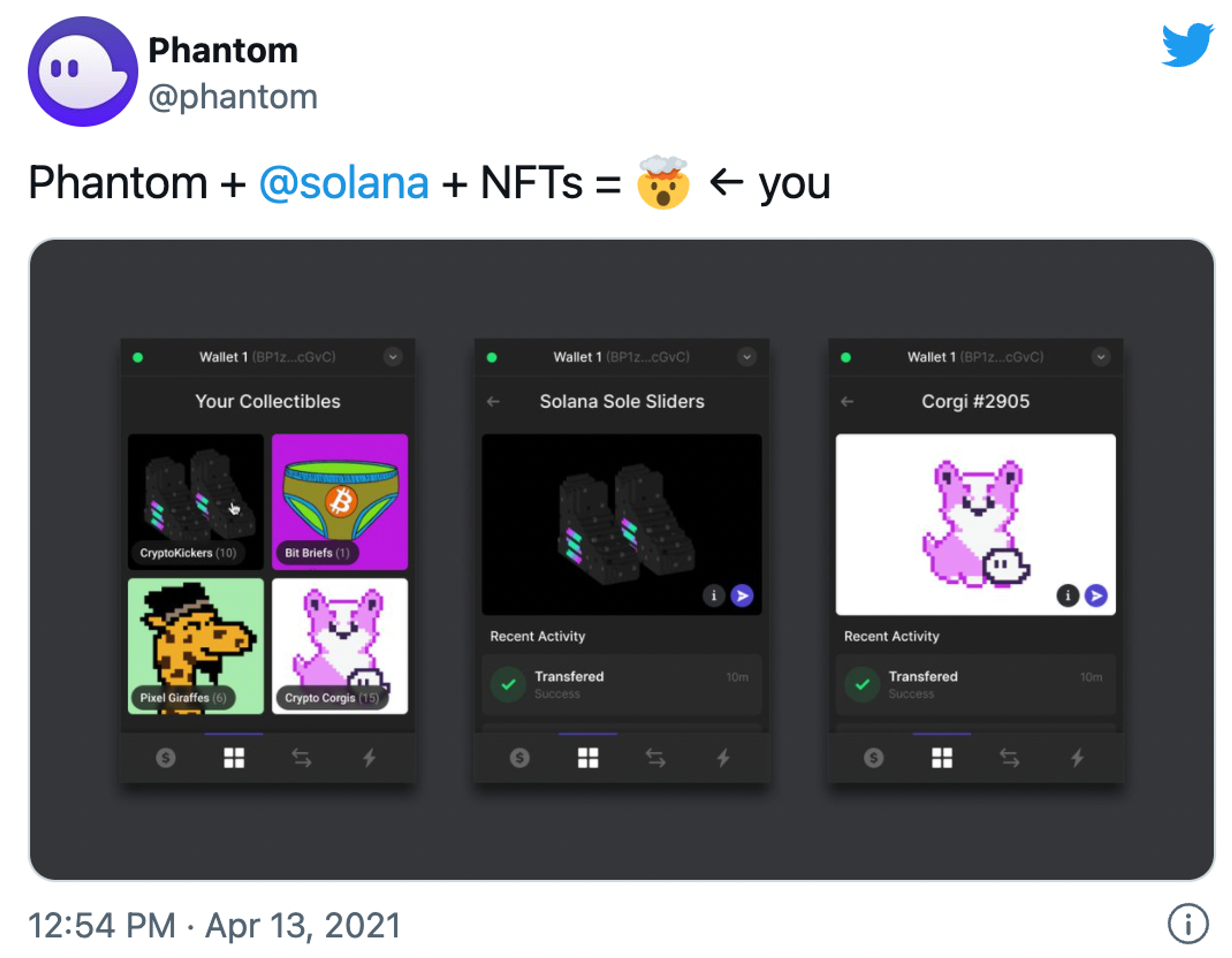 A screenshot of Phantom’s Solana NFT viewer interface.