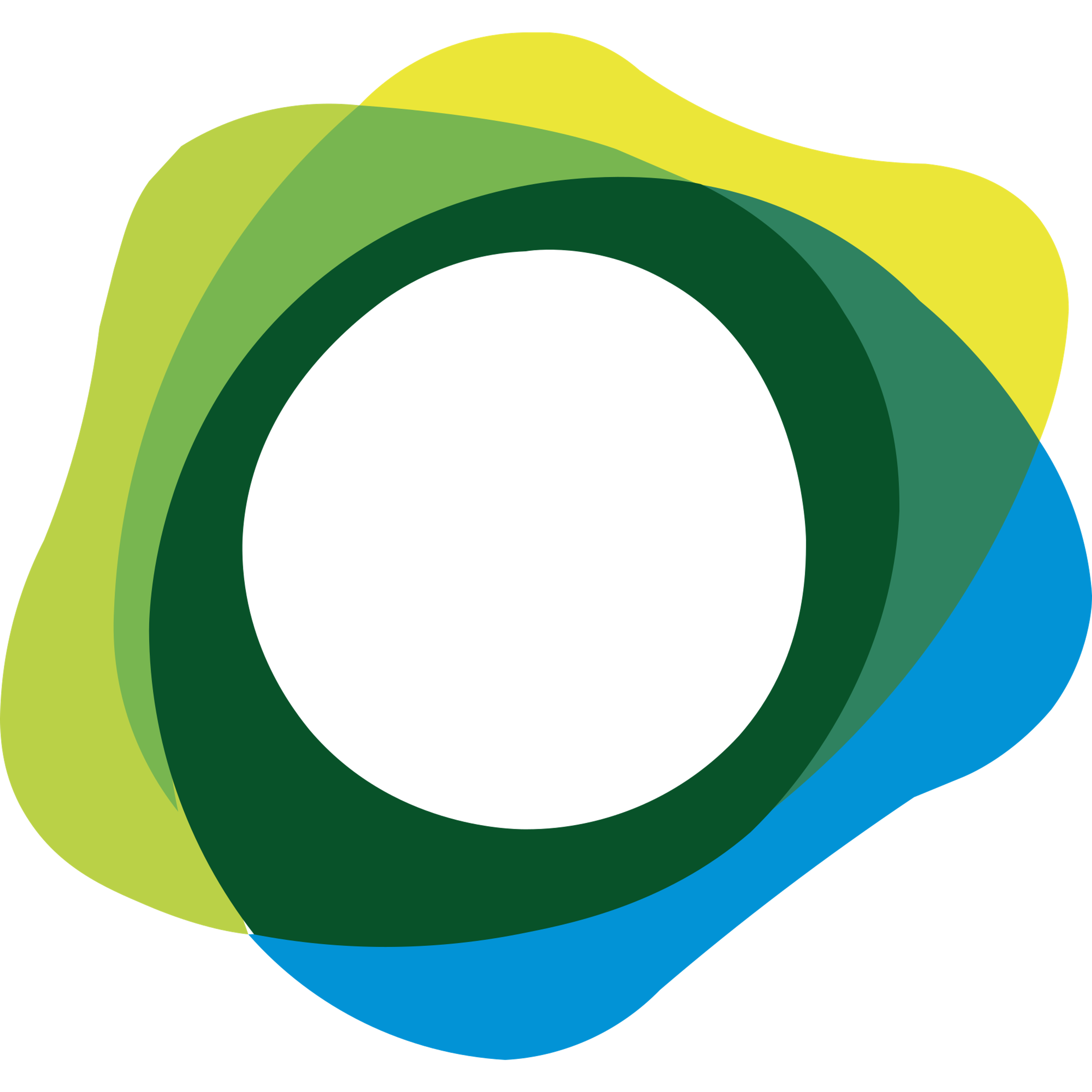 USDP logo