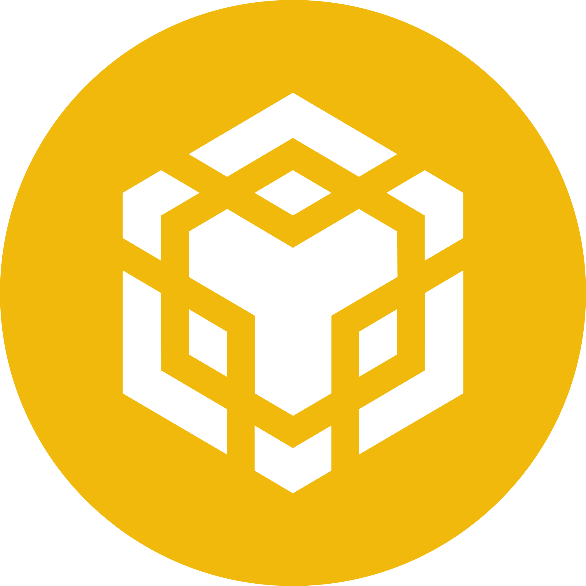 Binance Coin logo new