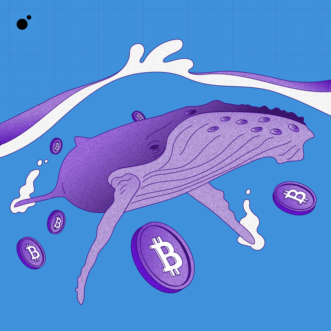 What are crypto whales