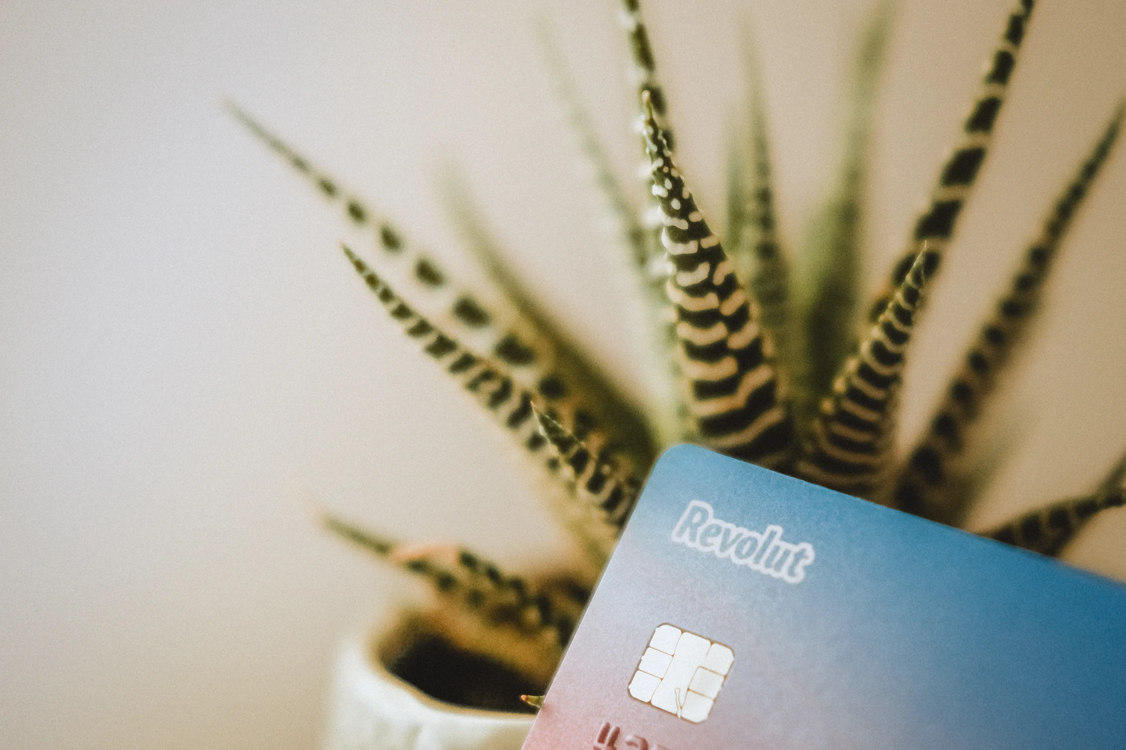 An image of a Revolute card.