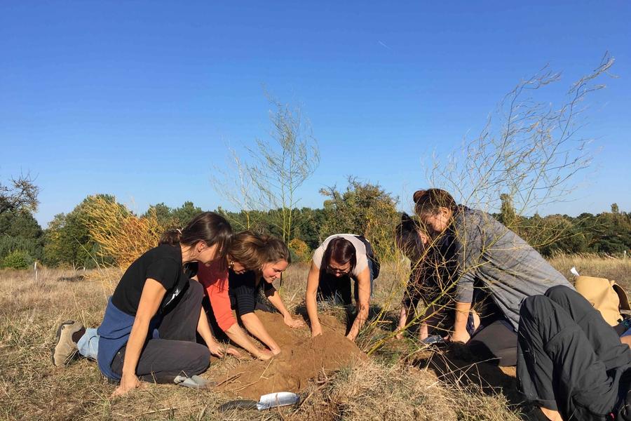 Teilnehmerinnen eines Wurzelseminars graben gemeinsam auf einer Wiese nach Heilpflanzen und ihren Wurzeln.