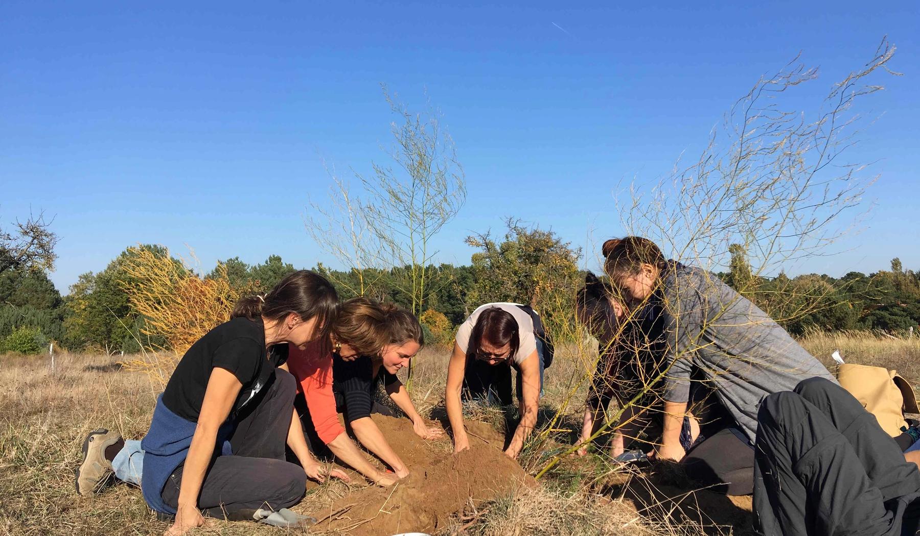 Teilnehmerinnen eines Wurzelseminars graben gemeinsam auf einer Wiese nach Heilpflanzen und ihren Wurzeln.